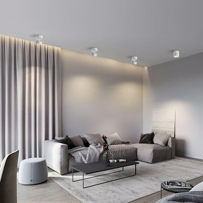 Fäle - Verstelbare LED Spot in Modern Minimalistisch Scandinavisch Design